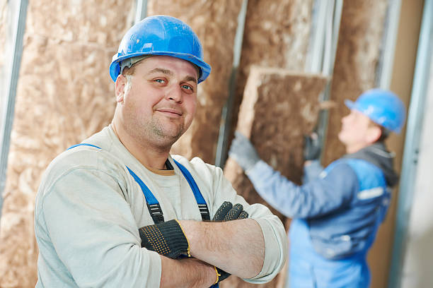 Best Eco-Friendly or Green Insulation Solutions  in Alton, IA